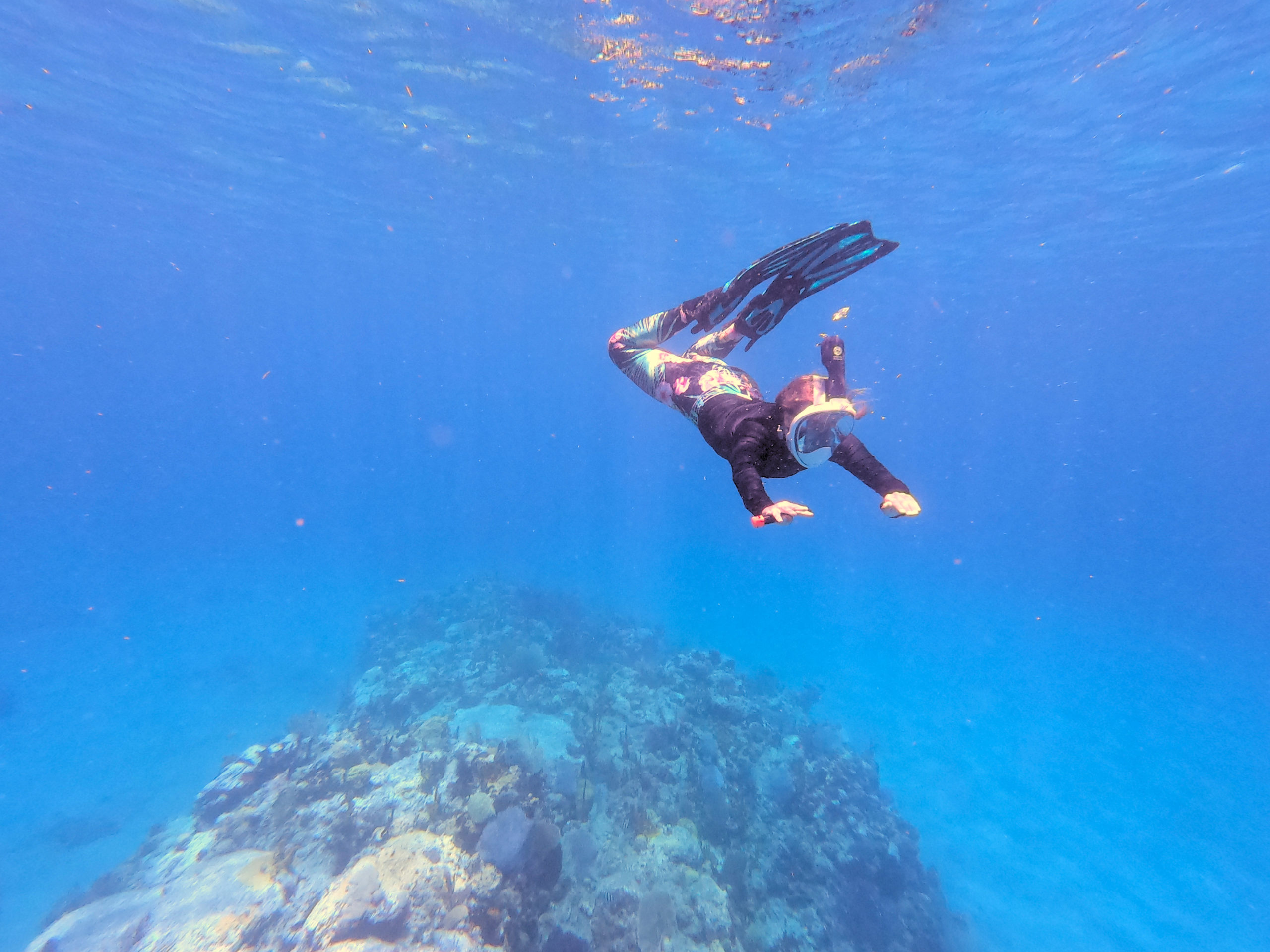 Snorkeling St Kitts – Andrew & Jazz